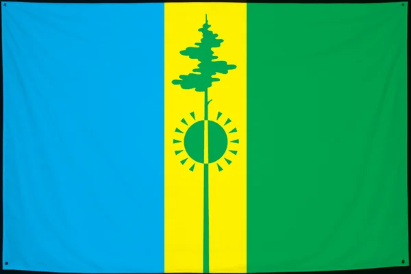 Флаг: Нижнекамский район